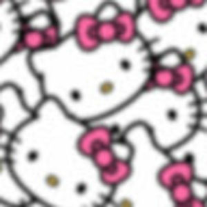 Meet your Posher, Leyla